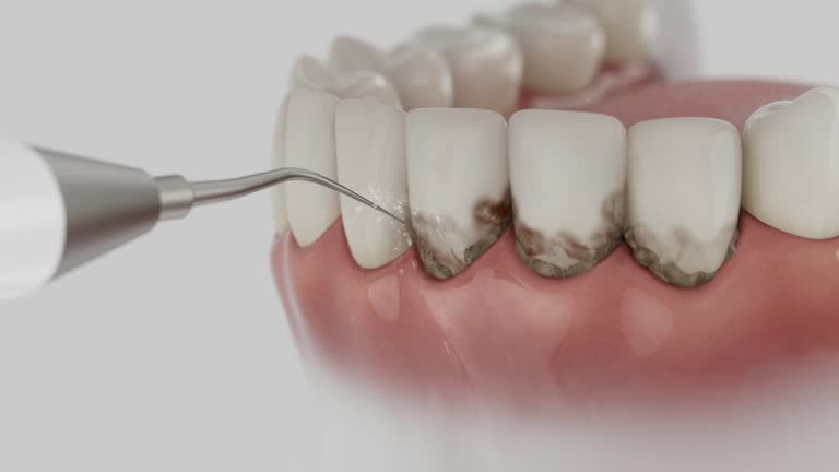 Reliable Dental contractor in Leflore County County, MS by Dentist Open Now